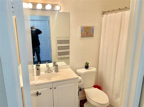 A studio typically consists of one bathroom and a main room that serves as the living room, bedroom and kitchen. . Rooms for rent orange county